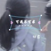 妍霏 - 可遇不可求