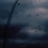 Taras Bazeev - Samri
