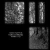 Dani Native - For a Friend I