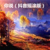润花 - 回忆录 (摇滚版)