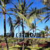 润花 - 单身情歌 (DJ版)