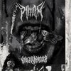Pinion - Lithium Extermination