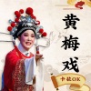马兰、黄新德 - 【黄梅戏】梦回