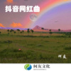 何友 - 抖音网红曲