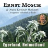Ernst Mosch Und Seine Original Egerländer Musikanten - Verliebt, verlobt, vorbei