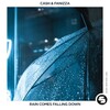 Fanizza、Cash - Rain Comes Falling Down