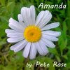 Pete Rose - Amanda