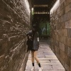 8先生、好洲道 - Help Our Souls