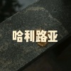 木星、虞姬 - 好好过