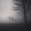 Drumcell - Active Tension (Live)