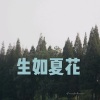 空空、7妹 - 三生三世十里桃花 (DJ版)