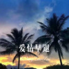 MC野梦 - 爱笑的眼睛 (DJ版)
