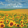 Alejandro Martínez Carrillo - Optimistic Inspiring Ballad