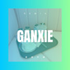 枫睿博 - 感谢华健 (弹跳版)