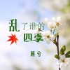 顾兮 - 乱了谁的四季