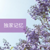 念凡 - 人间四月天 (Remix)
