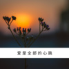 念凡 - 他有我爱你吗 (Remix)