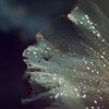 Baby Sweet Dream、Buddhist Meditation Music Set、Rainy Sounds - Night Droplets