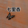 郭轩轩 - 别怕我伤心 (慢摇版)