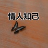 郭轩轩 - 月牙湾 (改编版)