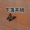 郭轩轩 - 出现又离开 (青春版)