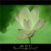 黛青塔娜 - 康美心语