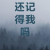 念凡 - 冬眠 (Remix)
