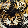 Survivor《Eye of the Tiger》[MP3/LRC]