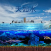 嫣洛瑶 - 天生爱你 (Remix)