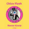 Chico Flash - Never Knew (Original Mix)
