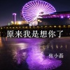 张小磊 - 原来我是想你了
