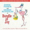 The RKO Studio Orchestra、Hugo Winterhalter - Bundle of Joy Overture