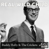 Buddy Holly、The Crickets - Real Wild Child (Original Mix)