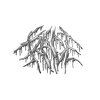 Kalifa - Rage (Explicit)