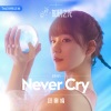 段奥娟《Never Cry》[MP3/LRC]