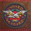 Lynyrd Skynyrd《Sweet Home Alabama》[MP3/LRC]