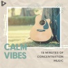 Calm Vibes《Calm》[MP3/LRC]