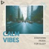 Calm Vibes《Aberdeen》[MP3/LRC]