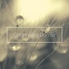 Alma Pura Perez - Gotas para Dormir