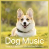 Relaxmydog《Tranquil Tones》[MP3/LRC]