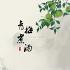 若南寻 - 青梅煮酒
