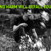 sammy ward - No Harm Will Befall You