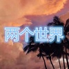 宋琦 - 情难断 (孤独版)