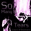 Lisa L、Shamano《So Many Tears》[MP3/LRC]