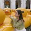 亮总、宋慕、地图 - 爱你十分泪七分旋律