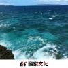 鹤楠、明洋 - 戒烟 (DJ版)