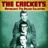 The Crickets - I Fought the Law (Remastered)