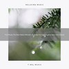 White Noise、White Noise Healing Power - Violet Noise For Enjoy Life, Refresh, And More