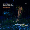 Spectrum A - Spellbound (Original Mix)