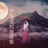 王雅菲 - 梦里谁知身是客